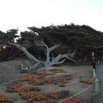 Cambria_0575 (November 02, 2013)